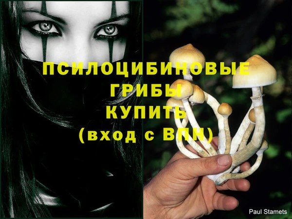 а пвп мука Абаза