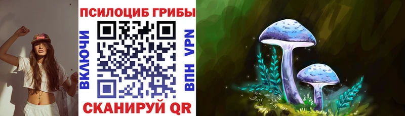хочу   Севастополь  Галлюциногенные грибы мицелий 